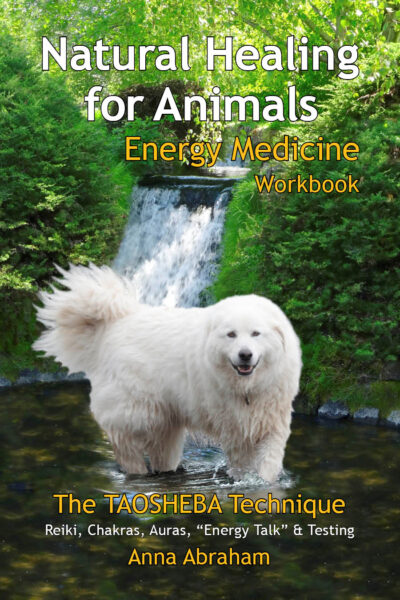Natural Healing for Animals -Book Cover